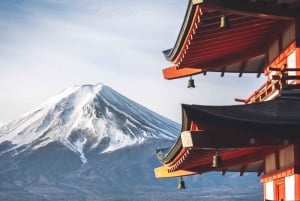 From Tokyo:Mount Fuji Full Day Customized Private Tour