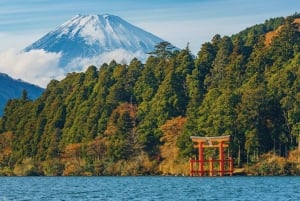 From Tokyo:Mount Fuji Full Day Customized Private Tour