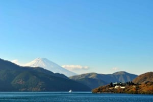 From Tokyo:Mount Fuji Full Day Customized Private Tour