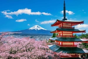 Von Tokio: Ganztagestour zum Fuji, privat und individuell anpassbar