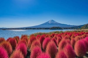 Von Tokio: Ganztagestour zum Fuji, privat und individuell anpassbar