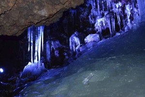 東京発：富士山 1日プライベートカスタマイズツアー