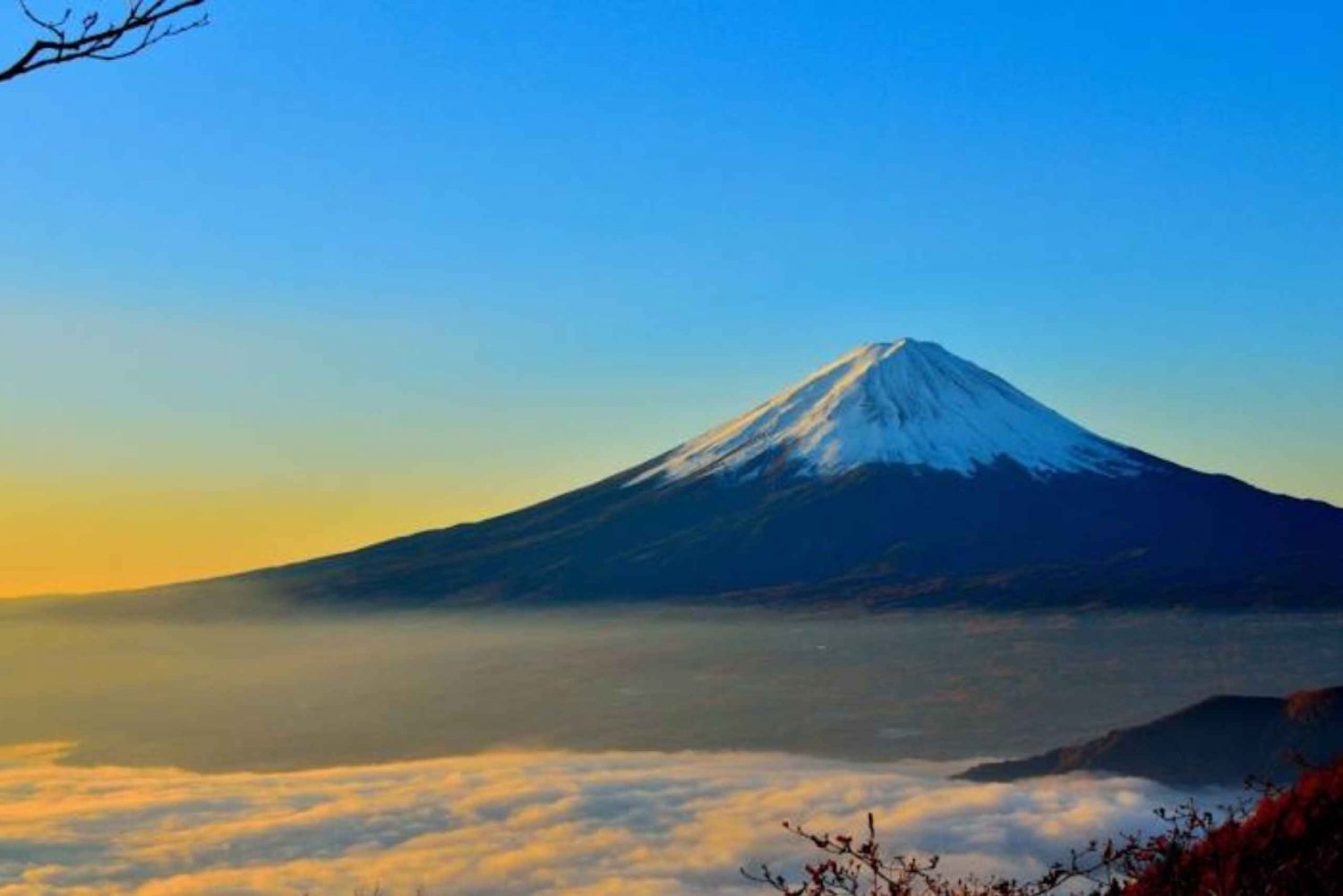 From Tokyo: Mount Fuji Full-Day Private Customized Tour