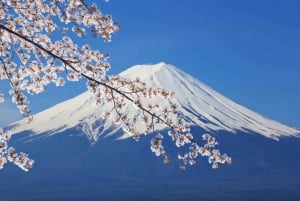 From Tokyo: Mount Fuji Full-Day Private Customized Tour