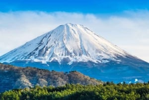 From Tokyo: Mount Fuji Full-Day Private Customized Tour