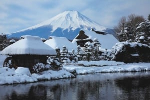 From Tokyo: Mount Fuji Full-Day Private Tour (Customizable)