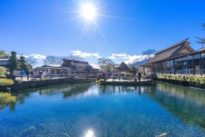 From Tokyo: Mount Fuji Full-Day Private Tour (Customizable)