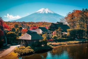 From Tokyo: Mount Fuji Full-Day Sightseeing Trip