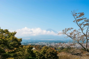 From Tokyo: Mount Fuji Full-Day Sightseeing Trip