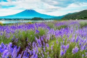 From Tokyo: Mount Fuji Full-Day Sightseeing Trip