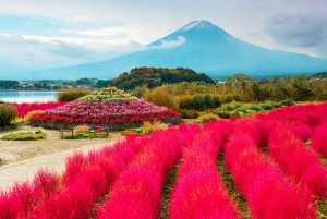 From Tokyo: Mount Fuji Full-Day Sightseeing Trip