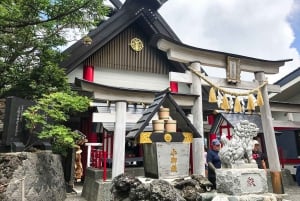 From Tokyo: Mount Fuji Full-Day Sightseeing Trip