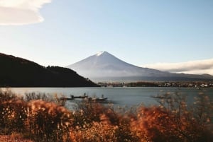 From Tokyo: Mount Fuji or Hakone+Gotemba Outlet Day Tour 10H