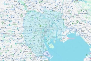 From Tokyo: Mount Fuji or Hakone+Gotemba Outlet Day Tour 10H