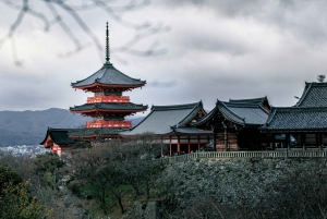 From Tokyo: Mount Fuji or Hakone+Gotemba Outlet Day Tour 10H