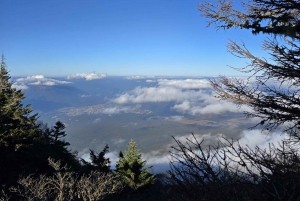 Z Tokio: Góra Fuji i Hakone - całodniowa wycieczka prywatna