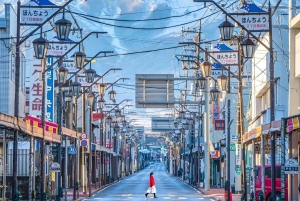 Z Tokio: Góra Fuji i Hakone - całodniowa wycieczka prywatna