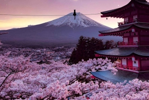 Из Токио: Частный тур на целый день на гору Фудзи и Хаконэ