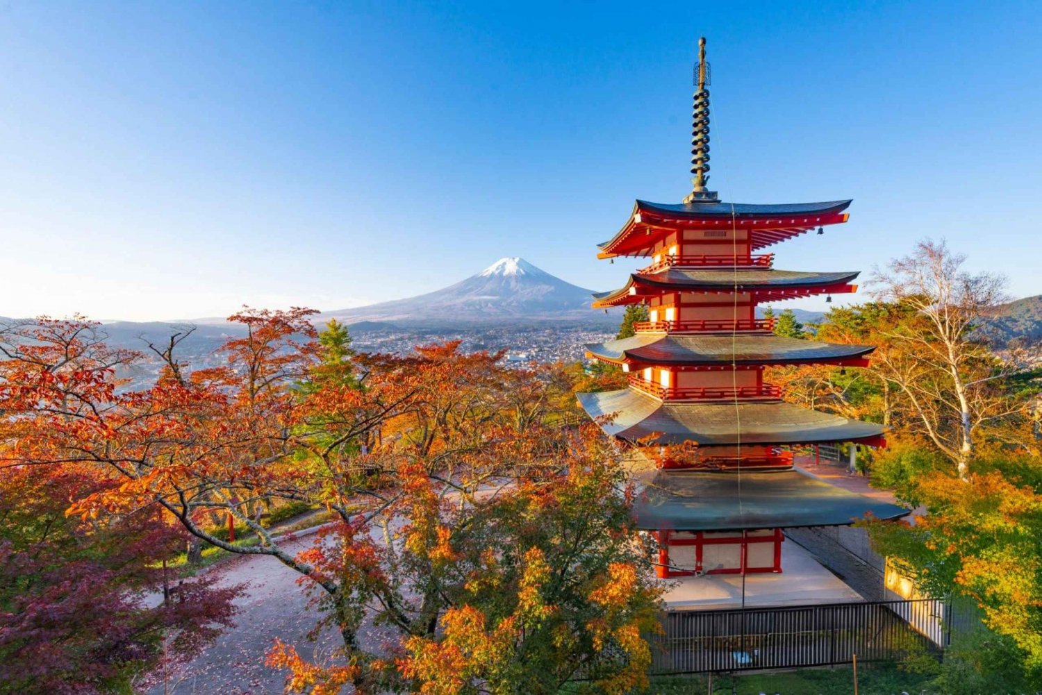 東京発：富士山＆箱根日帰りツアー（英語対応ドライバー付き）