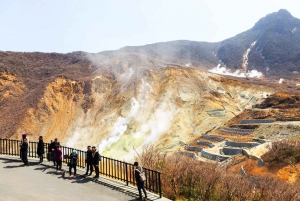 From Tokyo: Mount Fuji Hakone, Lake Ashi, Ropeway 1-Day Tour