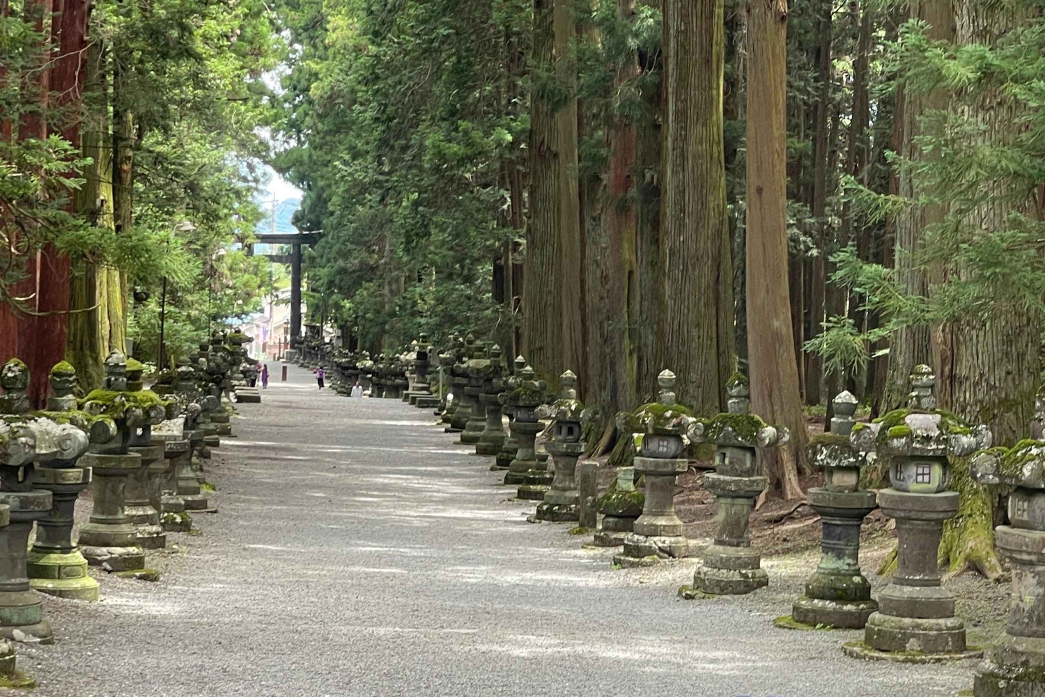 Von Tokio aus: Berg Fuji & Hakone Private Tagestour