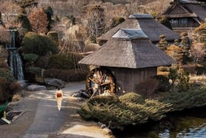 Von Tokio aus: Berg Fuji & Hakone Private Tagestour