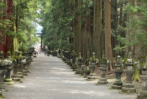 Von Tokio aus: Berg Fuji & Hakone Private Tagestour