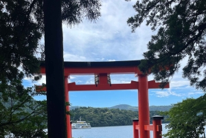 Von Tokio aus: Berg Fuji & Hakone Private Tagestour