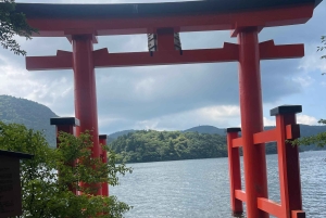 Von Tokio aus: Berg Fuji & Hakone Private Tagestour