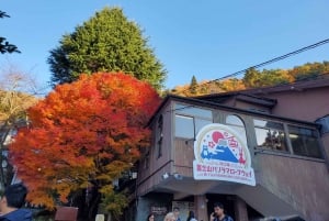 From Tokyo: Mount Fuji & Hakone Private Guided Full Day Trip