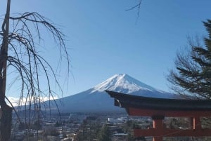 From Tokyo: Mount Fuji & Hakone Private Guided Full Day Trip