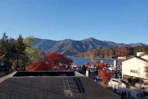 From Tokyo: Mount Fuji & Hakone Private Guided Full Day Trip