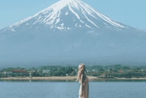 Tóquio ao Monte Fuji e Hakone: viagem privada personalizável de 1 dia