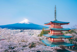 Fra Tokyo: Fuji-fjellet - høydepunktene på en heldagstur