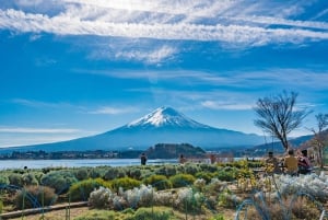 Fra Tokyo: Fuji-fjellet - høydepunktene på en heldagstur