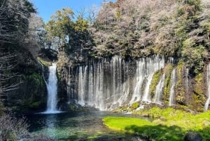 Fra Tokyo: Fuji-fjellet - høydepunktene på en heldagstur