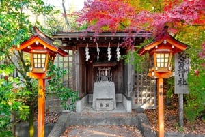 Tokiosta: Pakollinen koko päivän retki Fuji-vuoren kohokohtiin