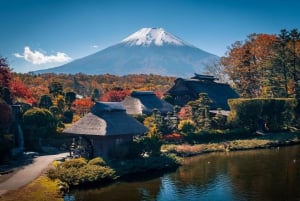 Tokyo : excursion d'une journée au mont Fuji, à Kamakura, au Grand Bouddha et au lac Ashi