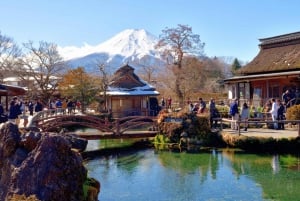 Tokyo : excursion d'une journée au mont Fuji, à Kamakura, au Grand Bouddha et au lac Ashi
