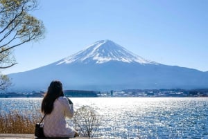 Tokyo : excursion d'une journée au mont Fuji, à Kamakura, au Grand Bouddha et au lac Ashi