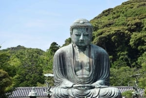 Tokyo : excursion d'une journée au mont Fuji, à Kamakura, au Grand Bouddha et au lac Ashi