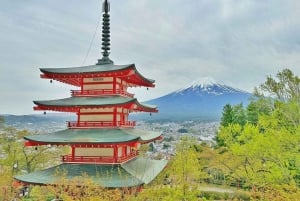 Токио: Гора Фудзи и Хаконе Частный индивидуальный тур на целый день