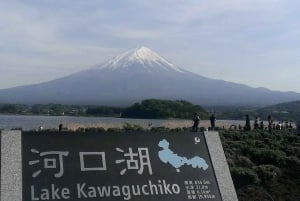 Токио: Гора Фудзи и Хаконе Частный индивидуальный тур на целый день