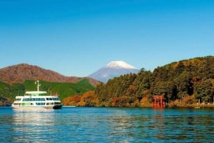 Токио: Гора Фудзи и Хаконе Частный индивидуальный тур на целый день