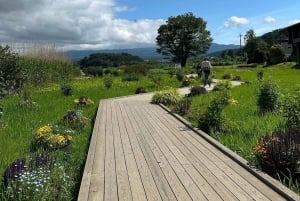 Токио: Гора Фудзи и Хаконе Частный индивидуальный тур на целый день