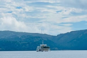 Токио: Гора Фудзи и Хаконе Частный индивидуальный тур на целый день