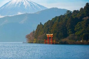 Токио: Гора Фудзи и Хаконе Частный индивидуальный тур на целый день