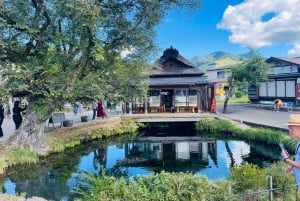 Токио: Гора Фудзи и Хаконе Частный индивидуальный тур на целый день