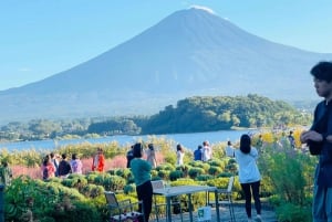Токио: Гора Фудзи и Хаконе Частный индивидуальный тур на целый день