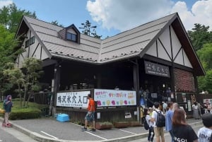 Токио: Гора Фудзи и Хаконе Частный индивидуальный тур на целый день